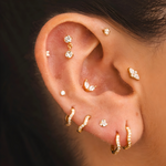 Earrings Andromeda