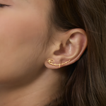 Earrings Custom