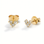 Earrings Victoria S925