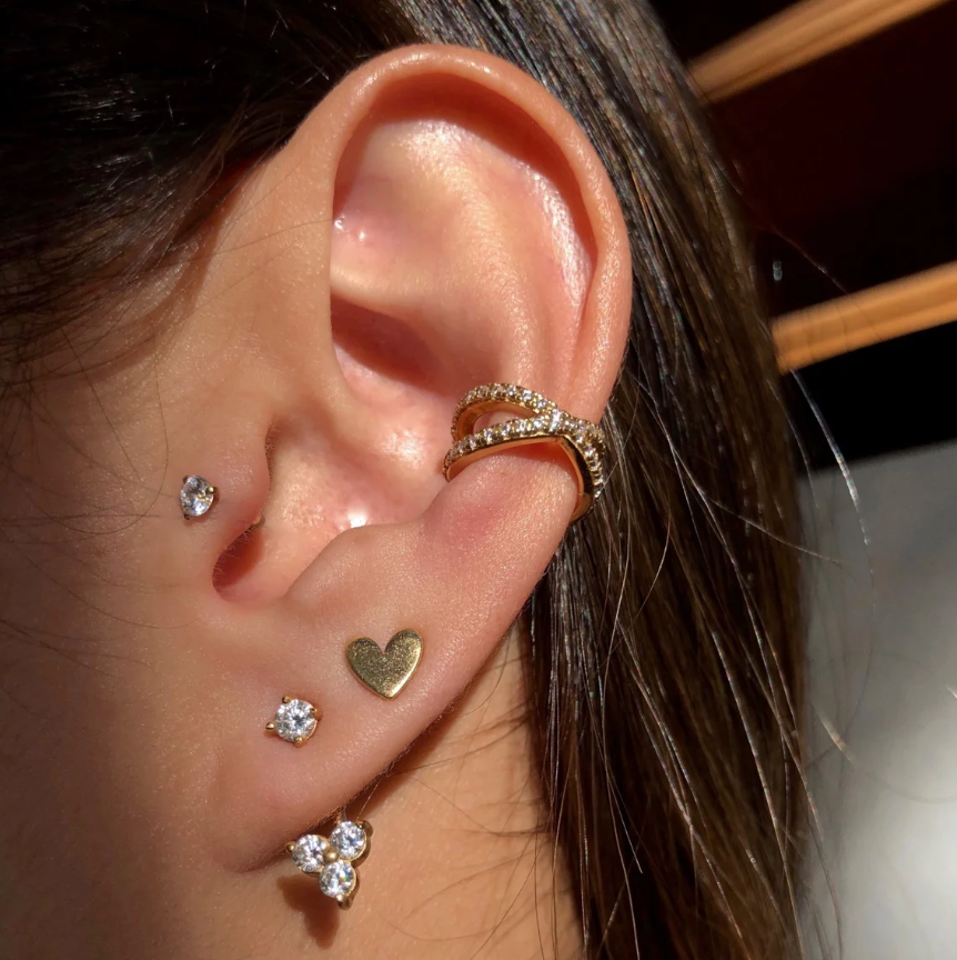 Earrings Shiny