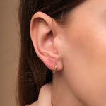 Earrings Zircon Bohemia