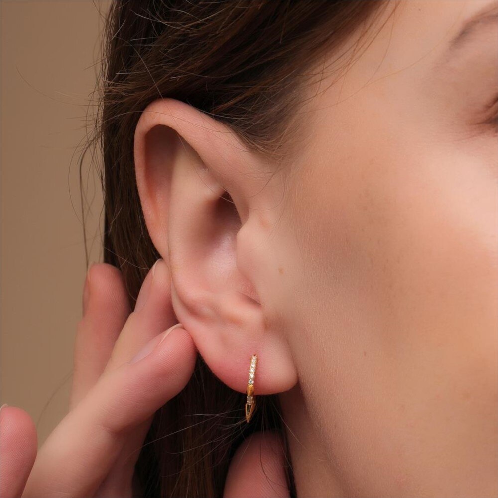 Earrings Punk
