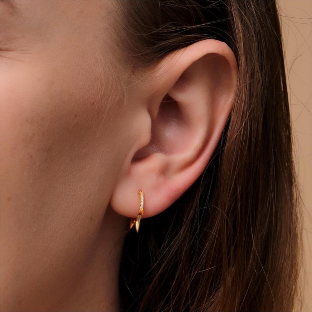 Earrings Punk