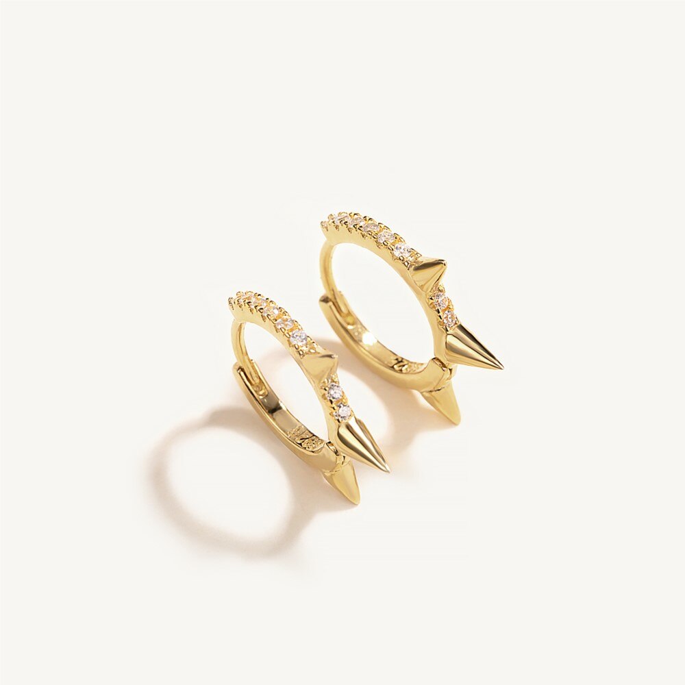 Earrings Punk