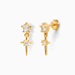 Earrings Tique