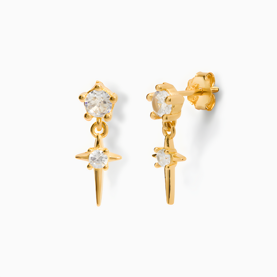 Earrings Tique