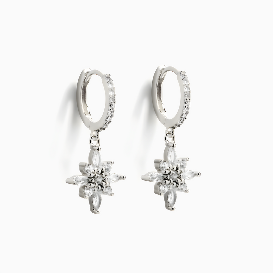 Earrings Demeter S925