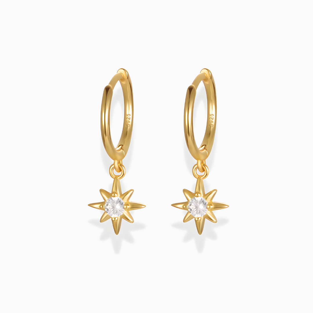 Earrings Horus