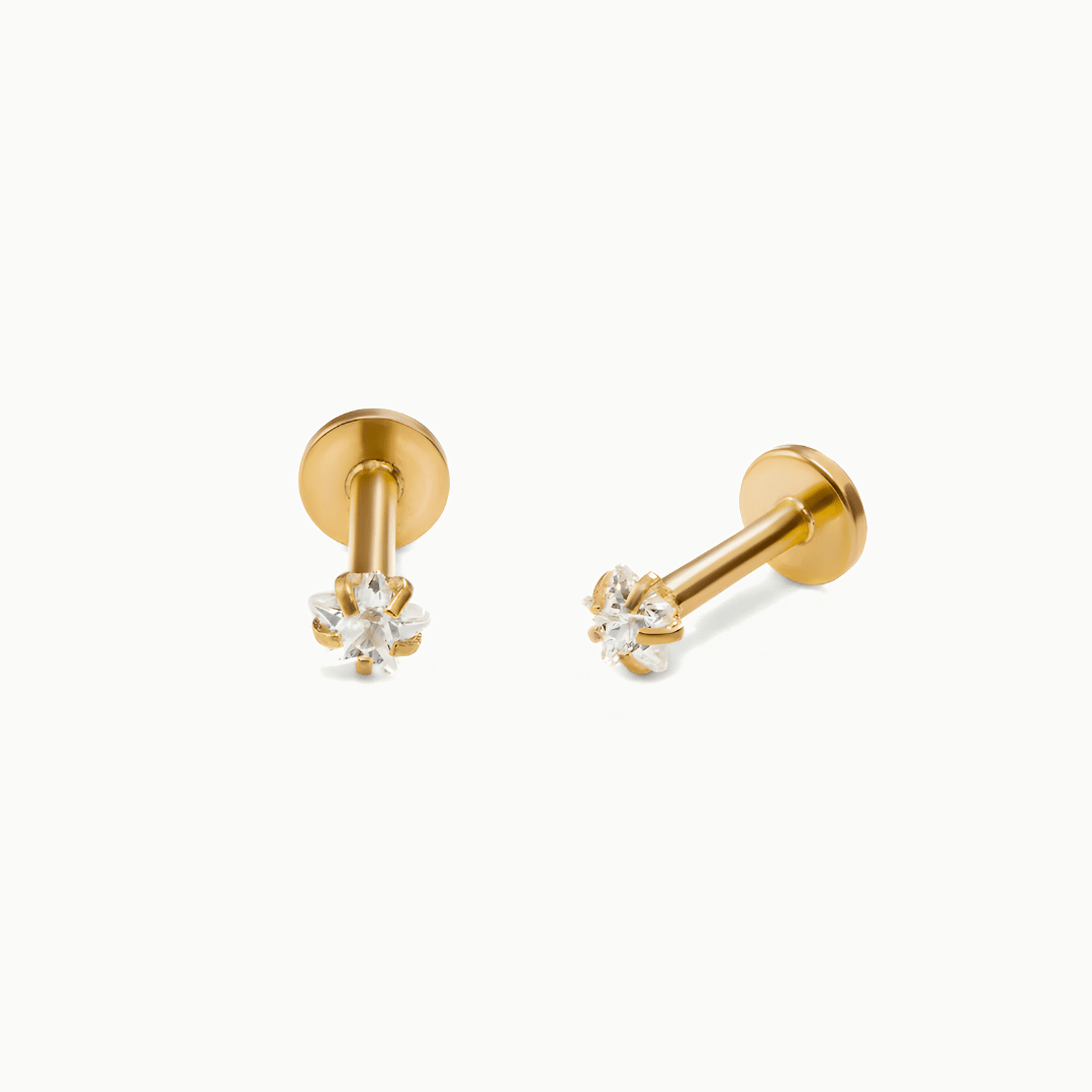Earrings Etra