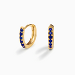 Earrings Royal Blue