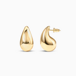 Earrings of Drop