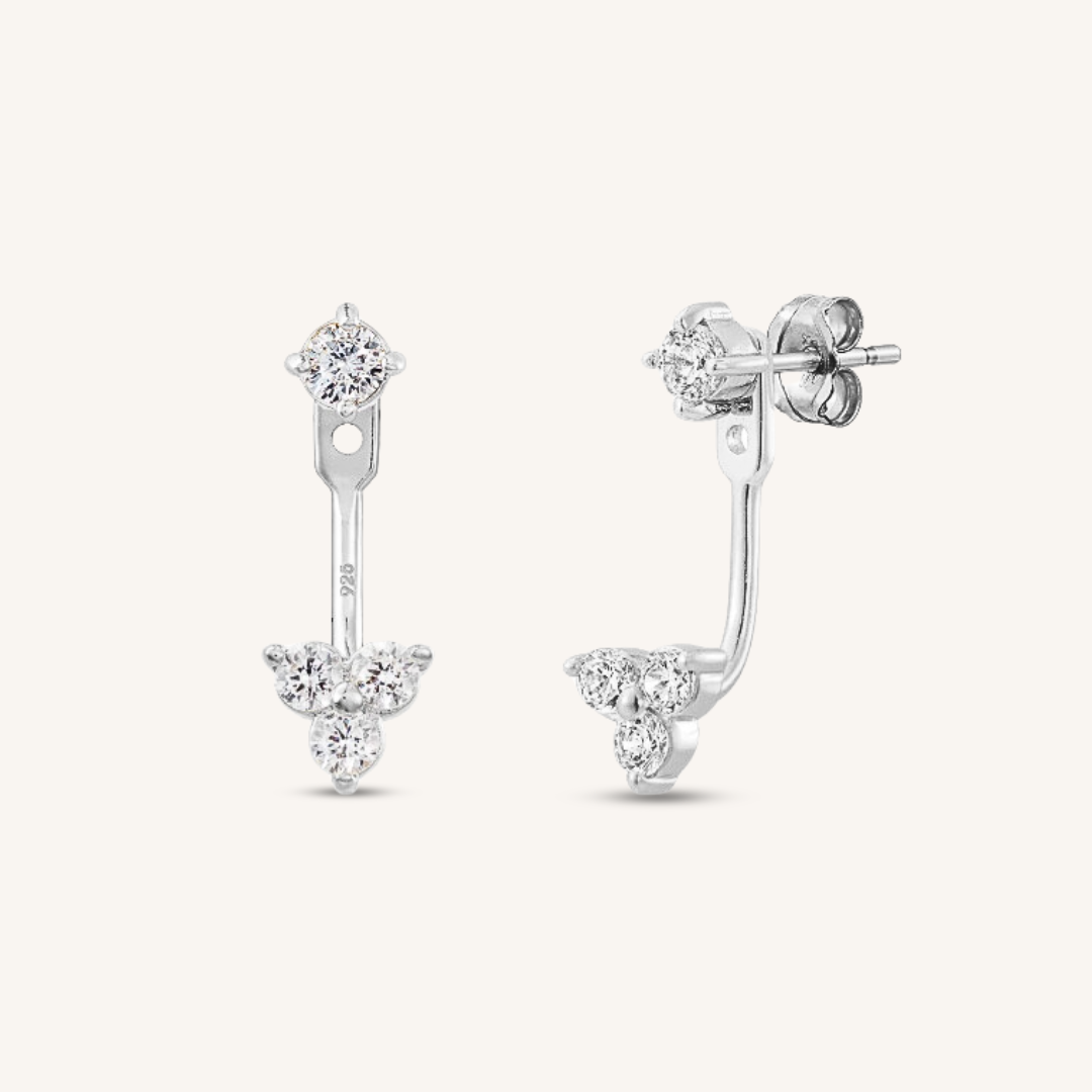 Earrings Shiny
