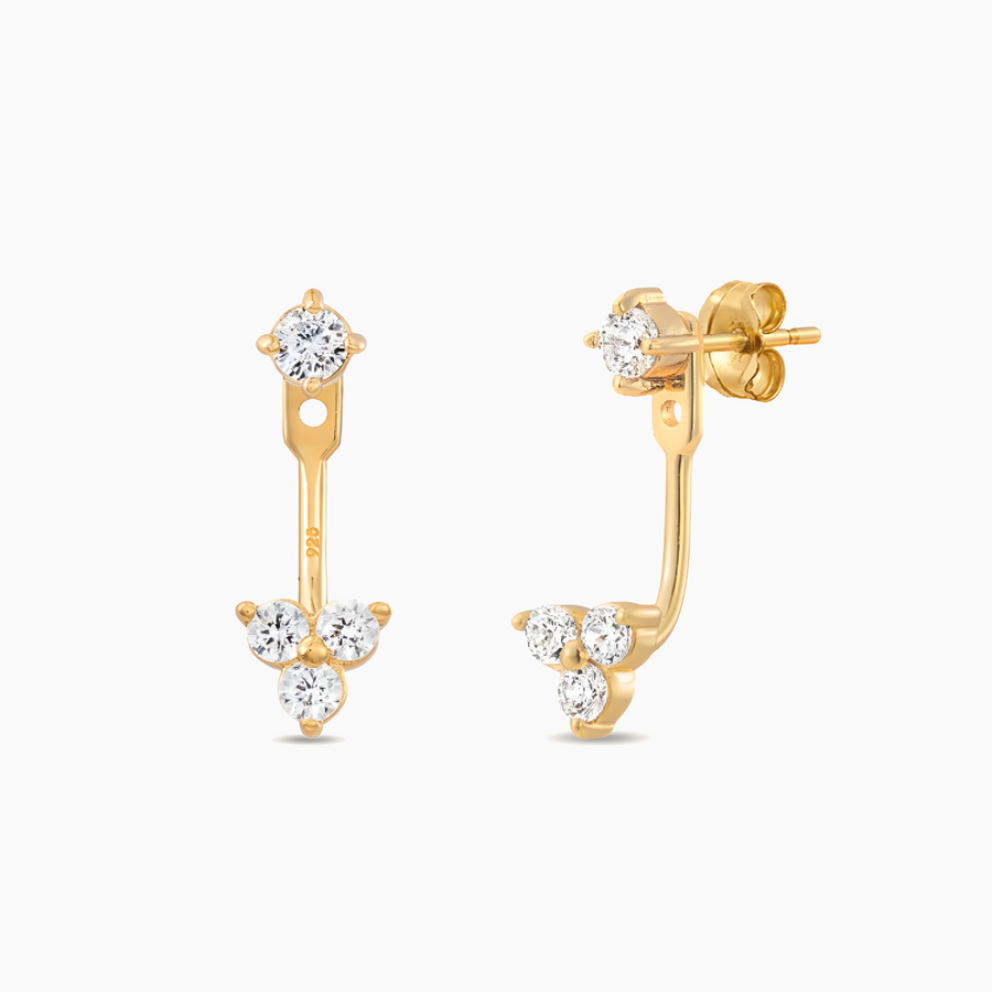 Earrings Shiny