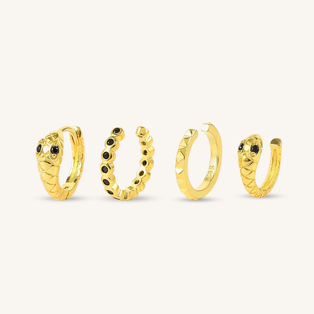 Set Earrings Snake