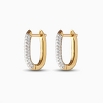 Earrings of Charm