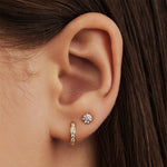 Earrings Premium Gold
