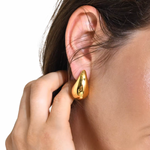 Earrings of Drop